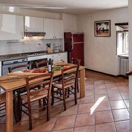 Apartamento Fattoria I Tribbi Ambra Habitación foto