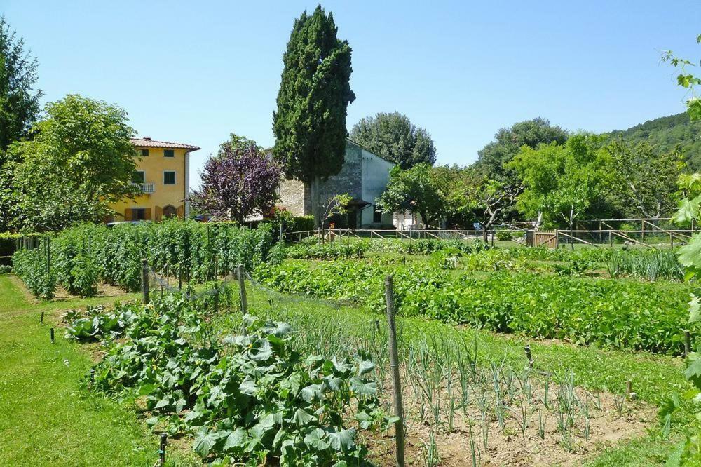 Apartamento Fattoria I Tribbi Ambra Exterior foto